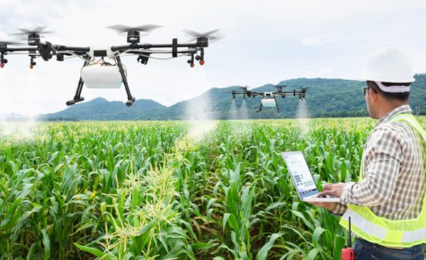Drone over crops